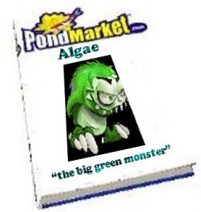 Algae_Brochure_Cover