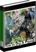 How_To_Dig_A_Pond