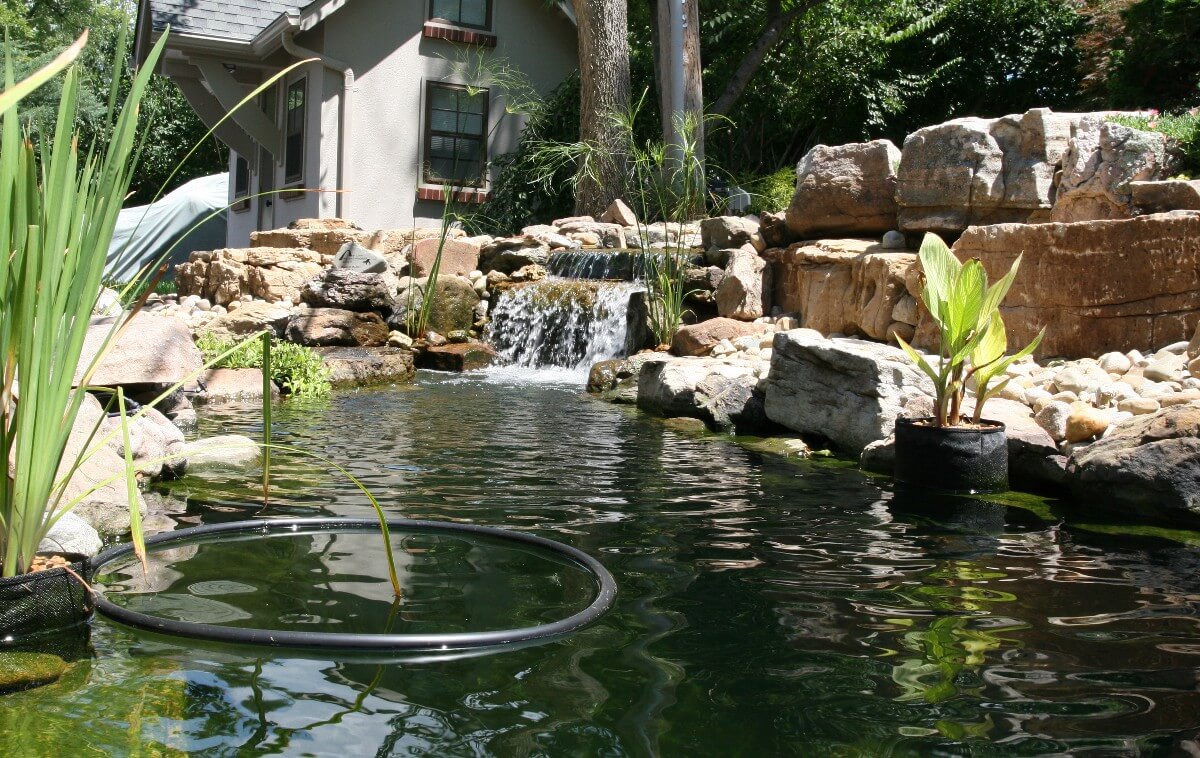 Koi Pond and Waterfall