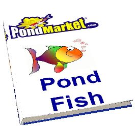 Pond Fish Cover