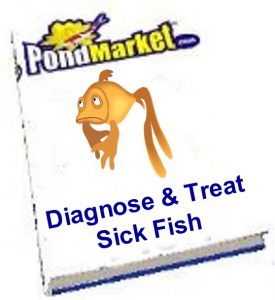 Treating_Sick_Fish_Cover