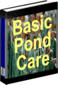 basic_pond_care
