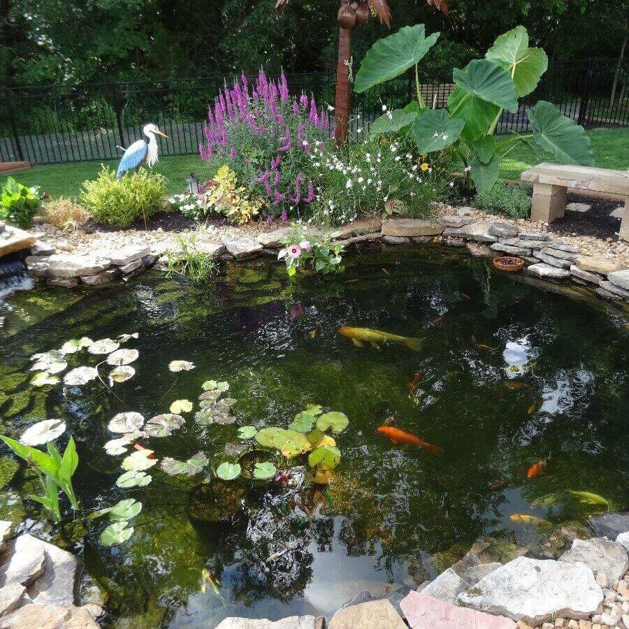 koi pond installation