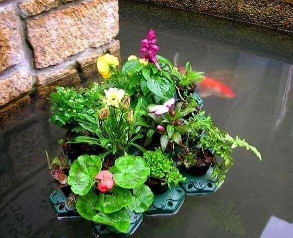 floating pond islands