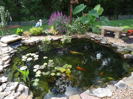 Maintenance Free Pond Installation and Waterfall Intallation in St. Louis MO