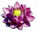 Floating Water Lily Votive