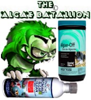 Algae Batallion-0