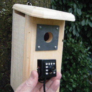 HD Backyard Birdhouse-0