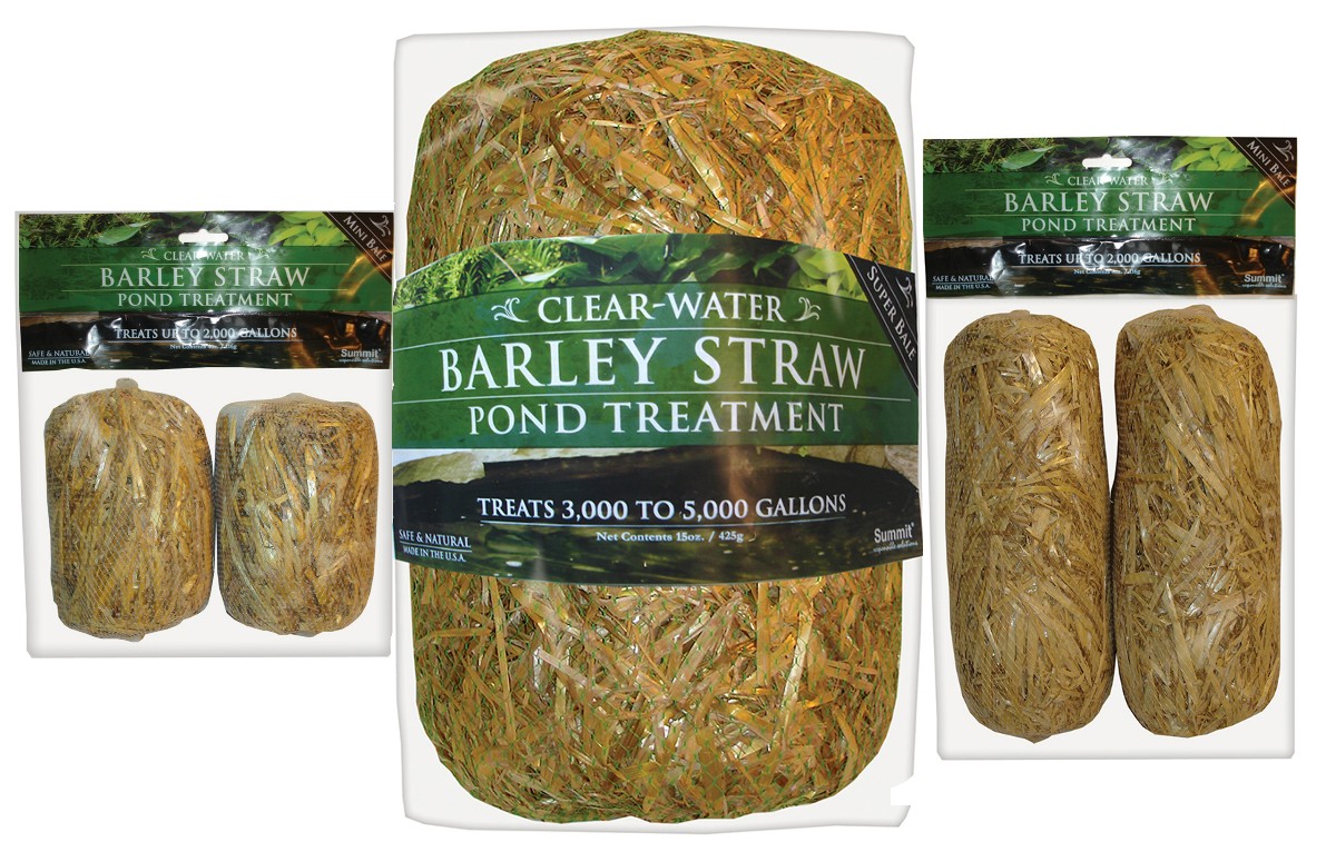 barley straw pond treatment