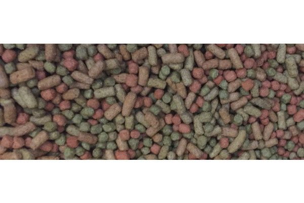 Stick and Pellet Steak Mix Bulk Koi and Goldfish Food