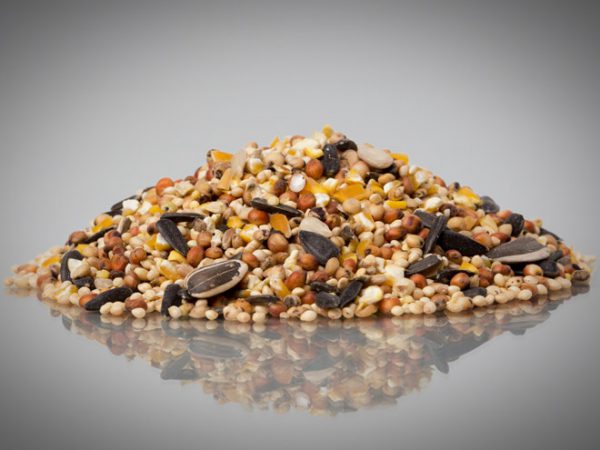 Cardinal Wild Bird Food Blend feeds a variety of Wild Birds of all sizes (25/50 lb)-0