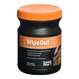 WipOut Bacteria Control for Koi and Goldfish