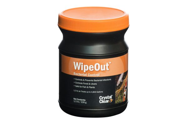 WipOut Bacteria Control for Koi and Goldfish