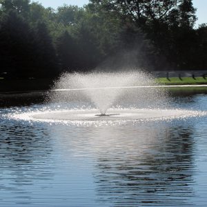 DA20 2 HP Aerating Fountain