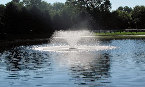 DA20 2 HP Aerating Fountain