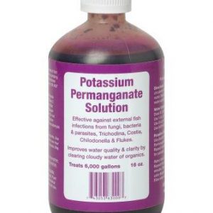 Potassium Permanganate