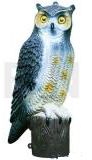 Owl Decoy