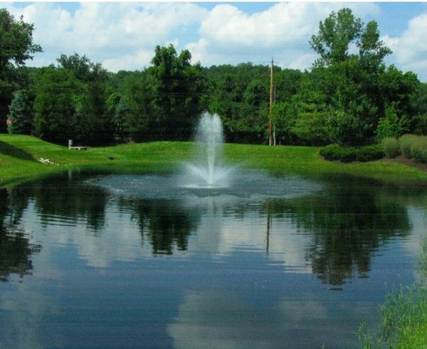 Treating with the Cleaner, Registered Algae Control, and Pond Dye