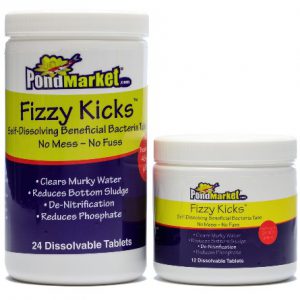 Fizzy Kicks Beneficial Pond Bacteria