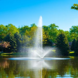 Skyward Fountain 1.5 Horsepower