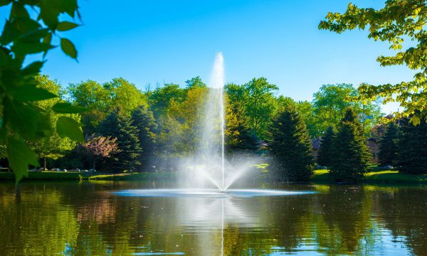 Skyward Fountain 1.5 Horsepower