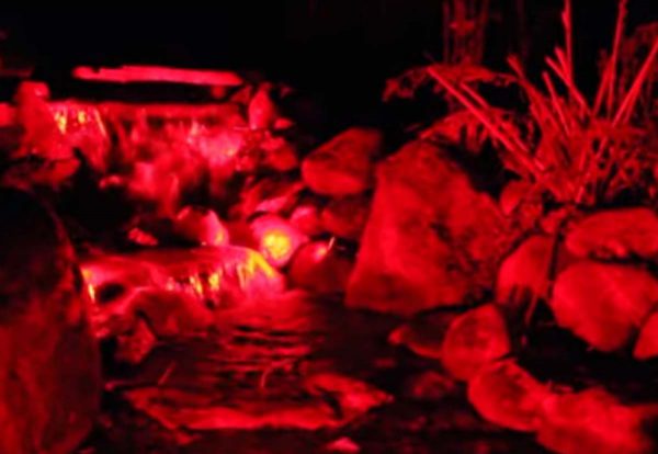 Color Changing LED Light Strips for Ponds and Waterfalls-4433
