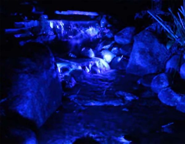 Color Changing LED Light Strips for Ponds and Waterfalls-4431