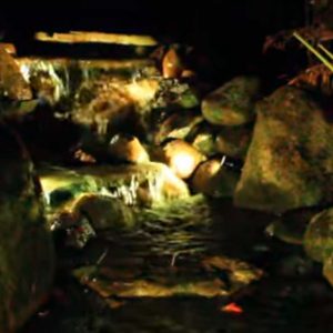Color Changing LED Light Strips for Ponds and Waterfalls-0
